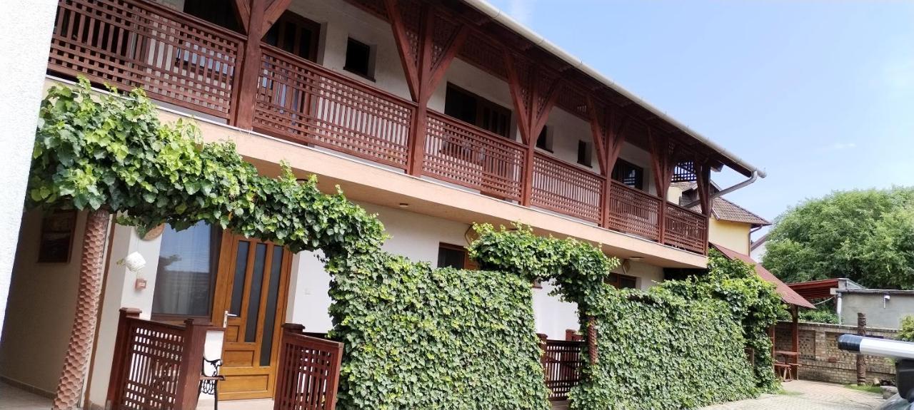 Rozsakert Apartmanhaz Hajdúszoboszló المظهر الخارجي الصورة